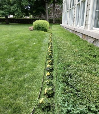 506694998_10236120219841654_6969083231008059607_n