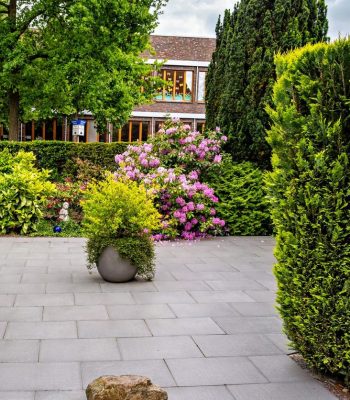 A large potted tile plant in a garden among bush plants in Germany.